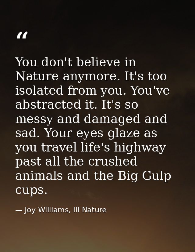 You don't believe in Nature anymore. It's too isolated from you. You've abstracted it. It's so messy and damaged and sad — Joy Williams, Ill Nature