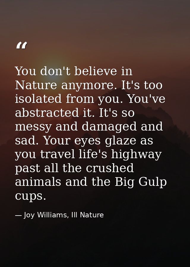You don't believe in Nature anymore. It's too isolated from you. You've abstracted it. It's so messy and damaged and sad — Joy Williams, Ill Nature