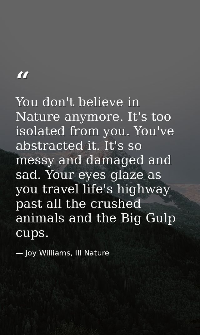 You don't believe in Nature anymore. It's too isolated from you. You've abstracted it. It's so messy and damaged and sad — Joy Williams, Ill Nature