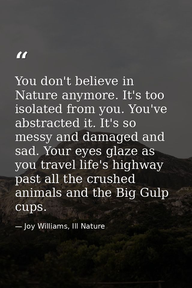 You don't believe in Nature anymore. It's too isolated from you. You've abstracted it. It's so messy and damaged and sad — Joy Williams, Ill Nature