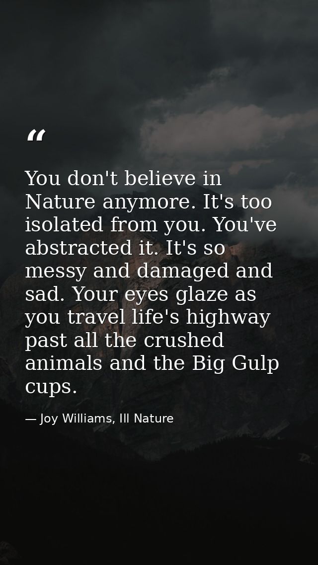 You don't believe in Nature anymore. It's too isolated from you. You've abstracted it. It's so messy and damaged and sad — Joy Williams, Ill Nature