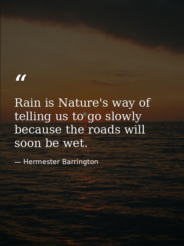 Rain is Nature's way of telling us to go slowly because the roads will soon be wet. — Hermester Barrington