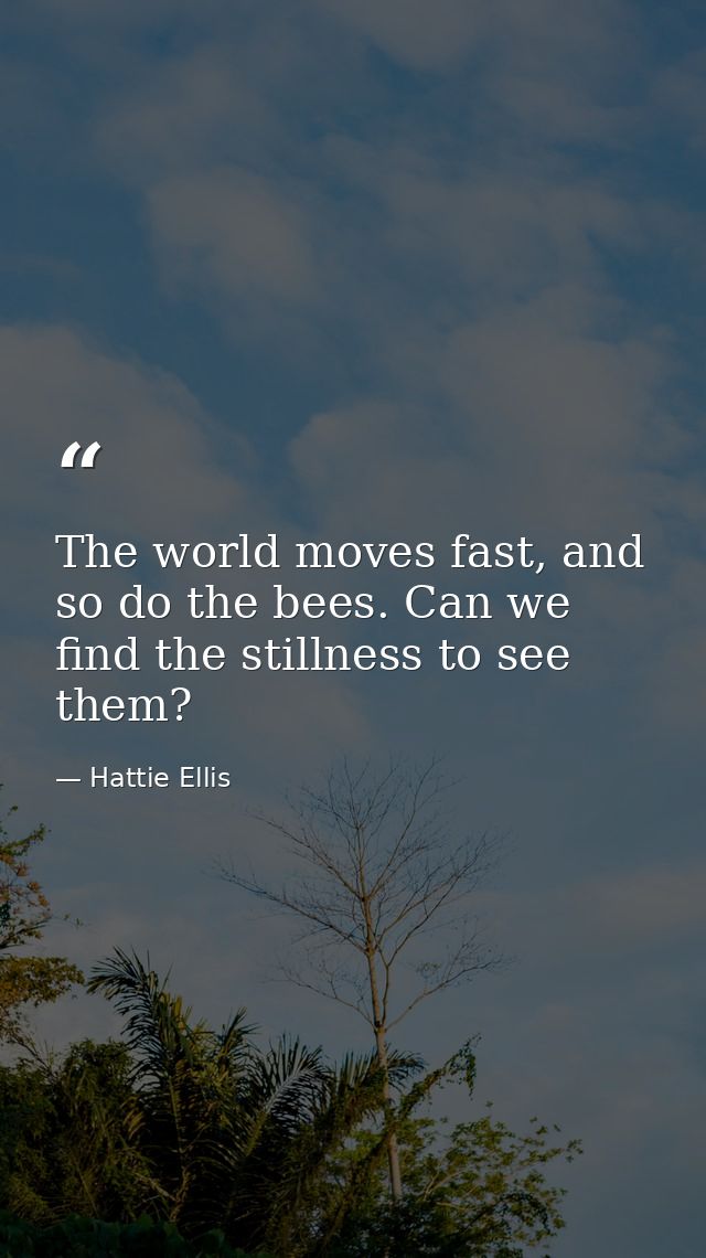 The world moves fast, and so do the bees. Can we find the stillness to see them? — Hattie Ellis