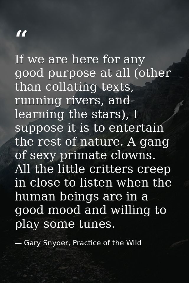 If we are here for any good purpose at all (other than collating texts, running rivers, and learning the stars), I suppo — Gary Snyder, Practice of the Wild