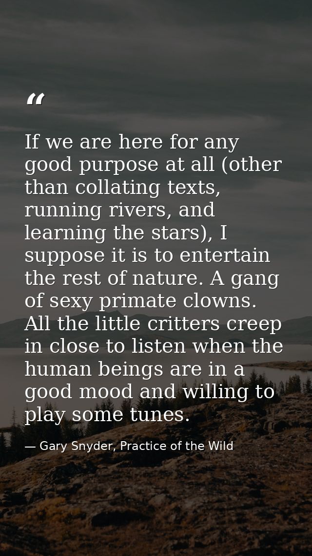 If we are here for any good purpose at all (other than collating texts, running rivers, and learning the stars), I suppo — Gary Snyder, Practice of the Wild