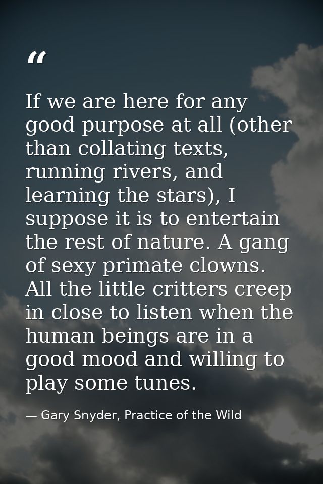 If we are here for any good purpose at all (other than collating texts, running rivers, and learning the stars), I suppo — Gary Snyder, Practice of the Wild