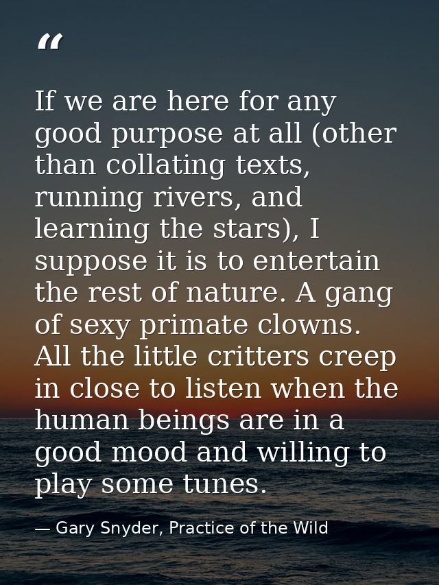 If we are here for any good purpose at all (other than collating texts, running rivers, and learning the stars), I suppo — Gary Snyder, Practice of the Wild
