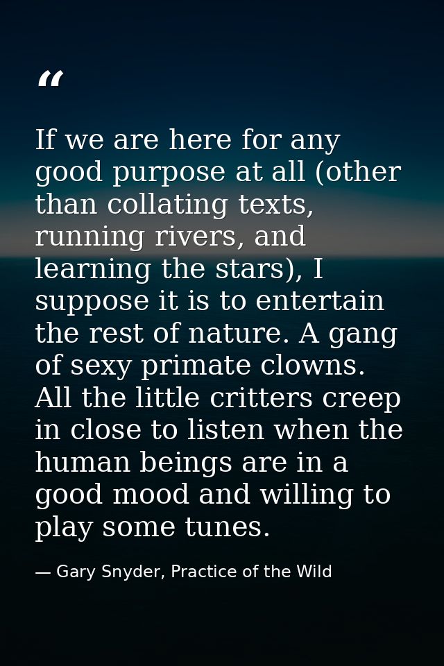If we are here for any good purpose at all (other than collating texts, running rivers, and learning the stars), I suppo — Gary Snyder, Practice of the Wild