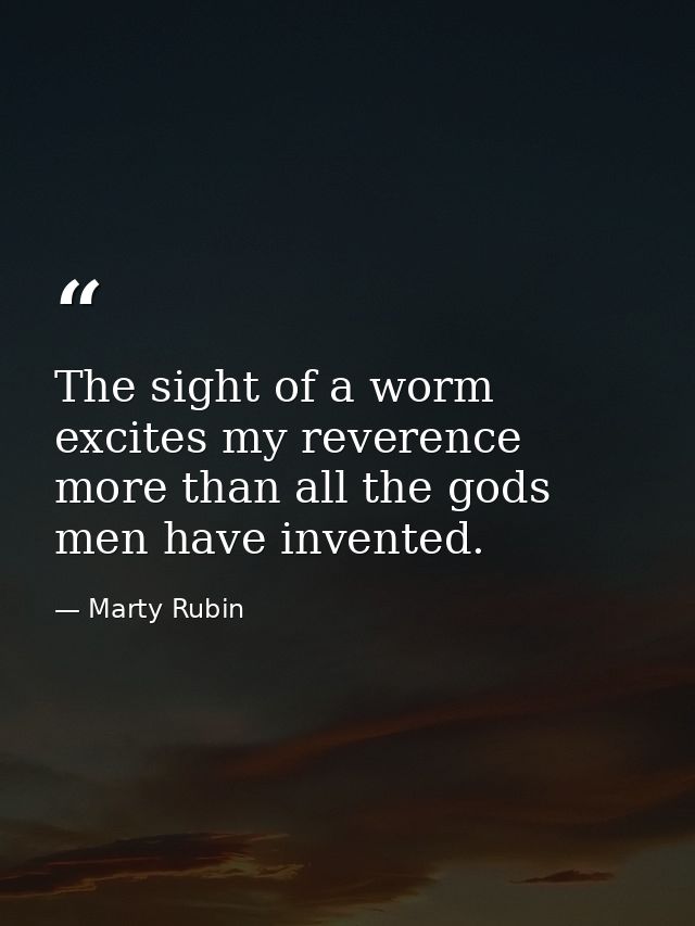 The sight of a worm excites my reverence more than all the gods men have invented. — Marty Rubin