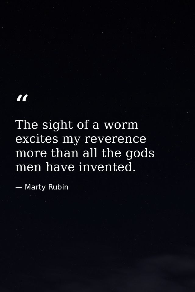 The sight of a worm excites my reverence more than all the gods men have invented. — Marty Rubin
