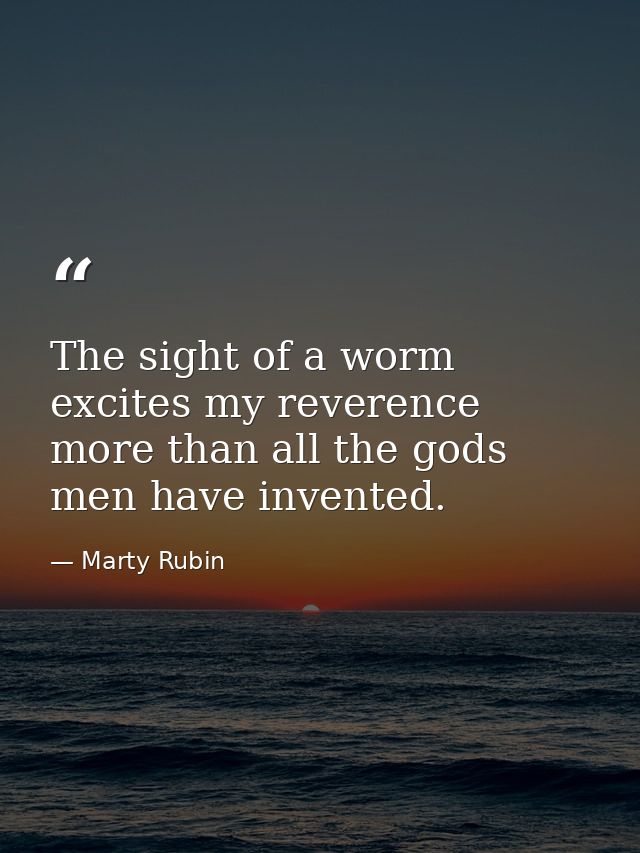 The sight of a worm excites my reverence more than all the gods men have invented. — Marty Rubin