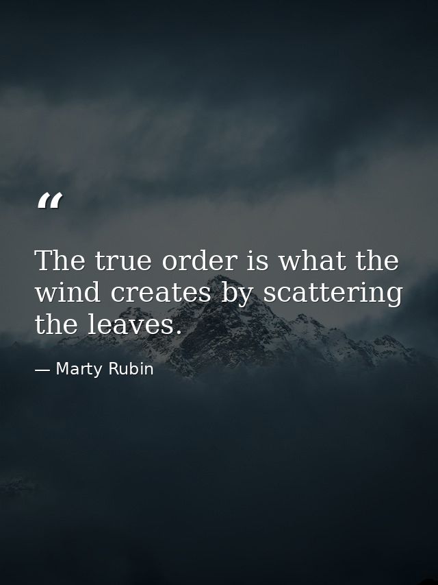 The true order is what the wind creates by scattering the leaves. — Marty Rubin