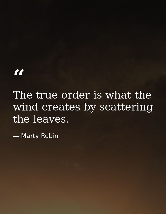 The true order is what the wind creates by scattering the leaves. — Marty Rubin