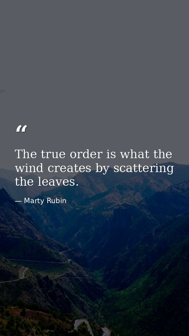 The true order is what the wind creates by scattering the leaves. — Marty Rubin