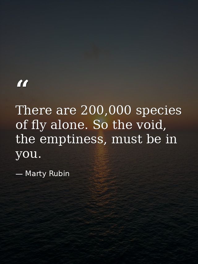 There are 200,000 species of fly alone. So the void, the emptiness, must be in you. — Marty Rubin
