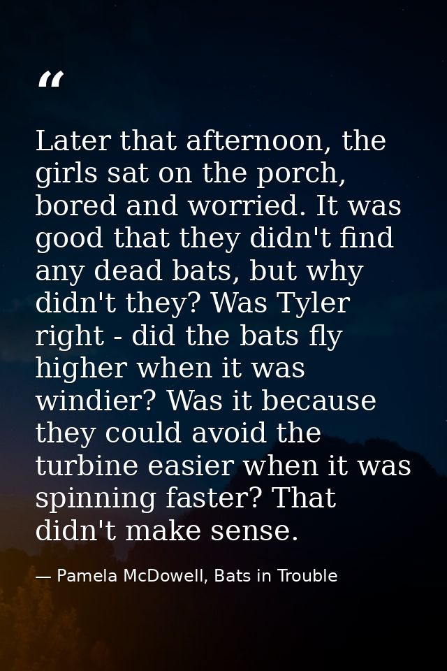Later that afternoon, the girls sat on the porch, bored and worried. It was good that they didn't find any dead bats, bu — Pamela McDowell, Bats in Trouble