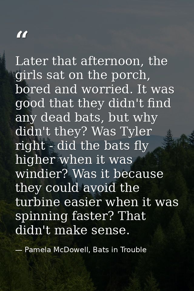 Later that afternoon, the girls sat on the porch, bored and worried. It was good that they didn't find any dead bats, bu — Pamela McDowell, Bats in Trouble