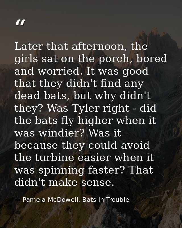 Later that afternoon, the girls sat on the porch, bored and worried. It was good that they didn't find any dead bats, bu — Pamela McDowell, Bats in Trouble