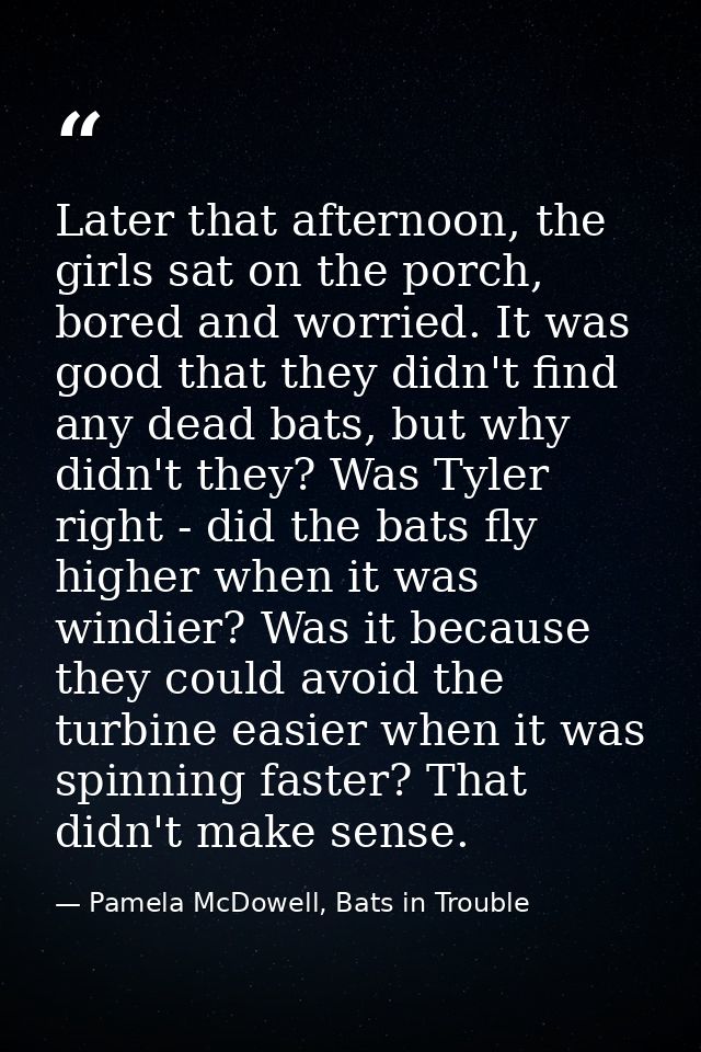 Later that afternoon, the girls sat on the porch, bored and worried. It was good that they didn't find any dead bats, bu — Pamela McDowell, Bats in Trouble