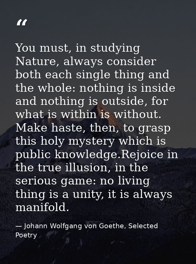 You must, in studying Nature, always consider both each single thing and the whole: nothing is inside and nothing is out — Johann Wolfgang von Goethe, Selected Poetry