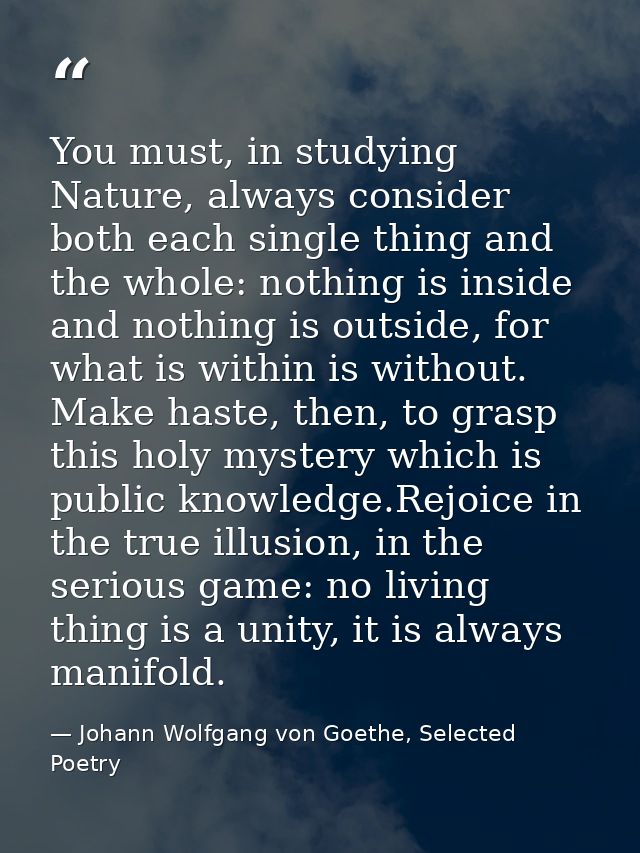 You must, in studying Nature, always consider both each single thing and the whole: nothing is inside and nothing is out — Johann Wolfgang von Goethe, Selected Poetry