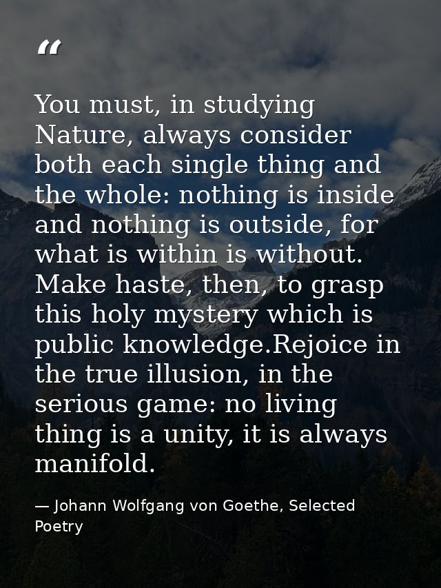 You must, in studying Nature, always consider both each single thing and the whole: nothing is inside and nothing is out — Johann Wolfgang von Goethe, Selected Poetry