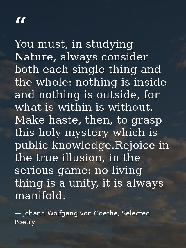 You must, in studying Nature, always consider both each single thing and the whole: nothing is inside and nothing is out — Johann Wolfgang von Goethe, Selected Poetry