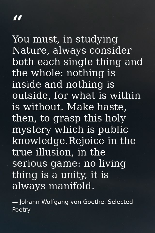 You must, in studying Nature, always consider both each single thing and the whole: nothing is inside and nothing is out — Johann Wolfgang von Goethe, Selected Poetry