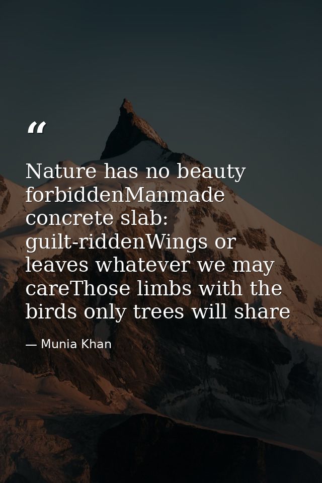 Nature has no beauty forbiddenManmade concrete slab: guilt-riddenWings or leaves whatever we may careThose limbs with th — Munia Khan
