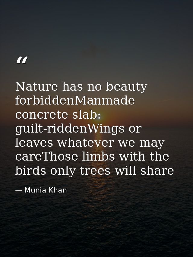 Nature has no beauty forbiddenManmade concrete slab: guilt-riddenWings or leaves whatever we may careThose limbs with th — Munia Khan