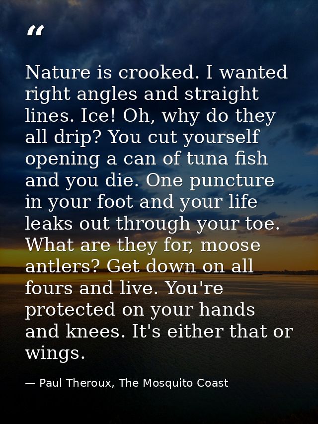 Nature is crooked. I wanted right angles and straight lines. Ice! Oh, why do they all drip? You cut yourself opening a c — Paul Theroux, The Mosquito Coast