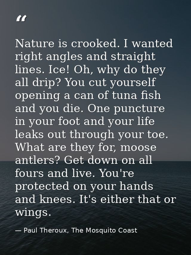 Nature is crooked. I wanted right angles and straight lines. Ice! Oh, why do they all drip? You cut yourself opening a c — Paul Theroux, The Mosquito Coast