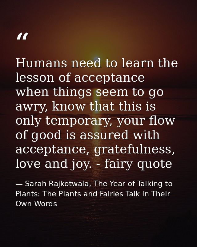 Humans need to learn the lesson of acceptance when things seem to go awry, know that this is only temporary, your flow o — Sarah Rajkotwala, The Year of Talking to Plants: The Plants and Fairies Talk in Their Own Words