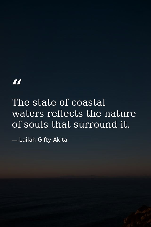 The state of coastal waters reflects the nature of souls that surround it. — Lailah Gifty Akita