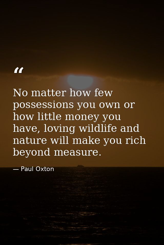 No matter how few possessions you own or how little money you have, loving wildlife and nature will make you rich beyond — Paul Oxton