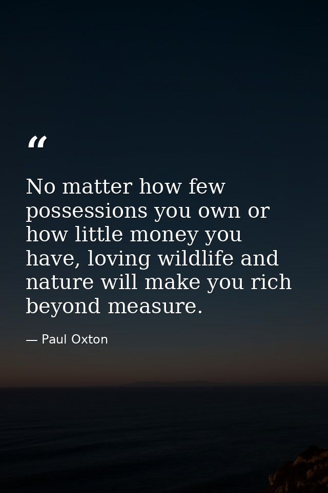 No matter how few possessions you own or how little money you have, loving wildlife and nature will make you rich beyond — Paul Oxton
