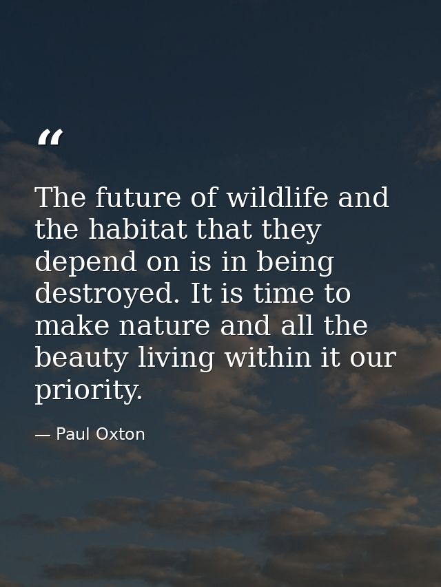 The future of wildlife and the habitat that they depend on is in being destroyed. It is time to make nature and all the  — Paul Oxton