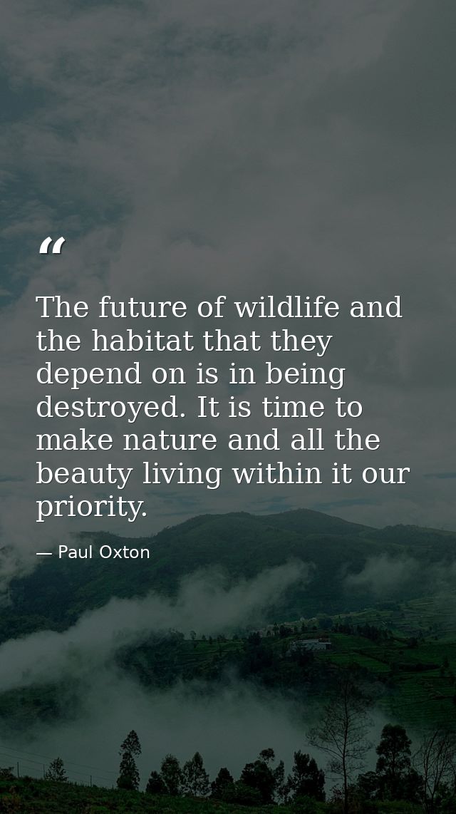 The future of wildlife and the habitat that they depend on is in being destroyed. It is time to make nature and all the  — Paul Oxton