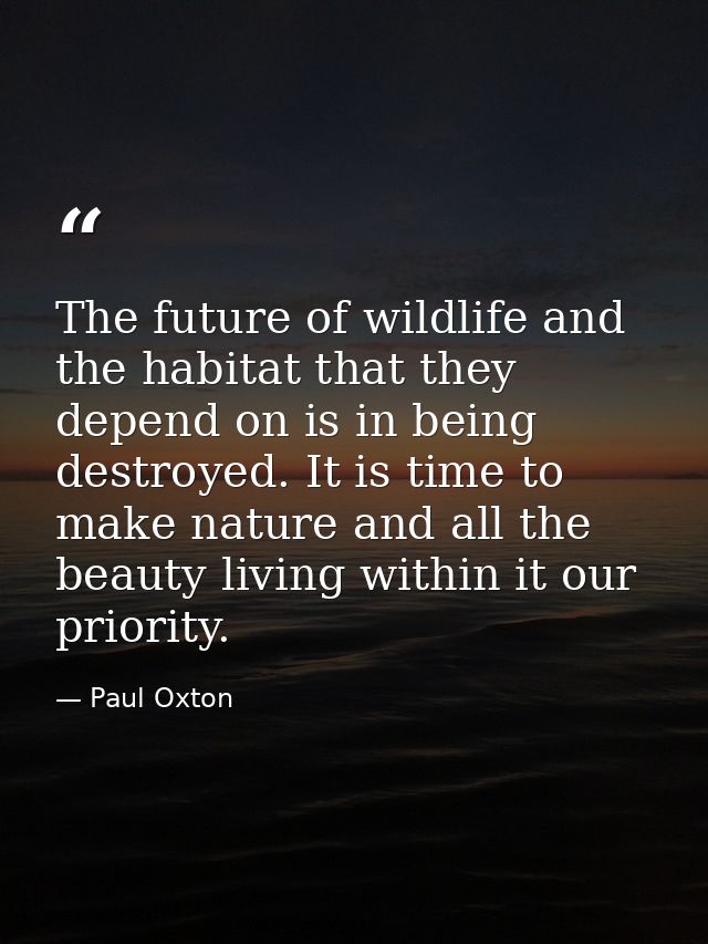 The future of wildlife and the habitat that they depend on is in being destroyed. It is time to make nature and all the  — Paul Oxton