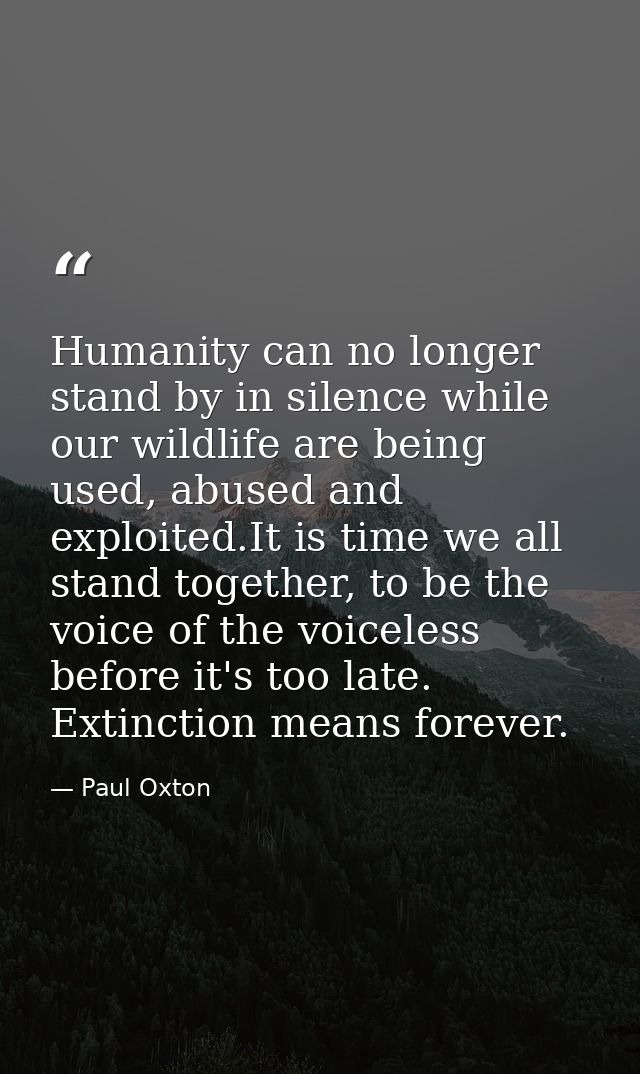 Humanity can no longer stand by in silence while our wildlife are being used, abused and exploited.It is time we all sta — Paul Oxton