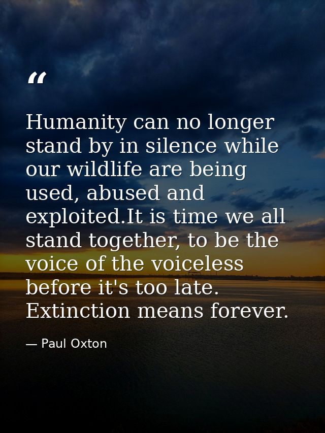 Humanity can no longer stand by in silence while our wildlife are being used, abused and exploited.It is time we all sta — Paul Oxton