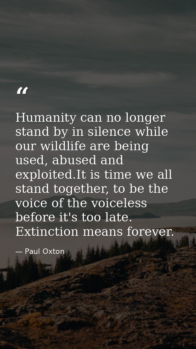Humanity can no longer stand by in silence while our wildlife are being used, abused and exploited.It is time we all sta — Paul Oxton