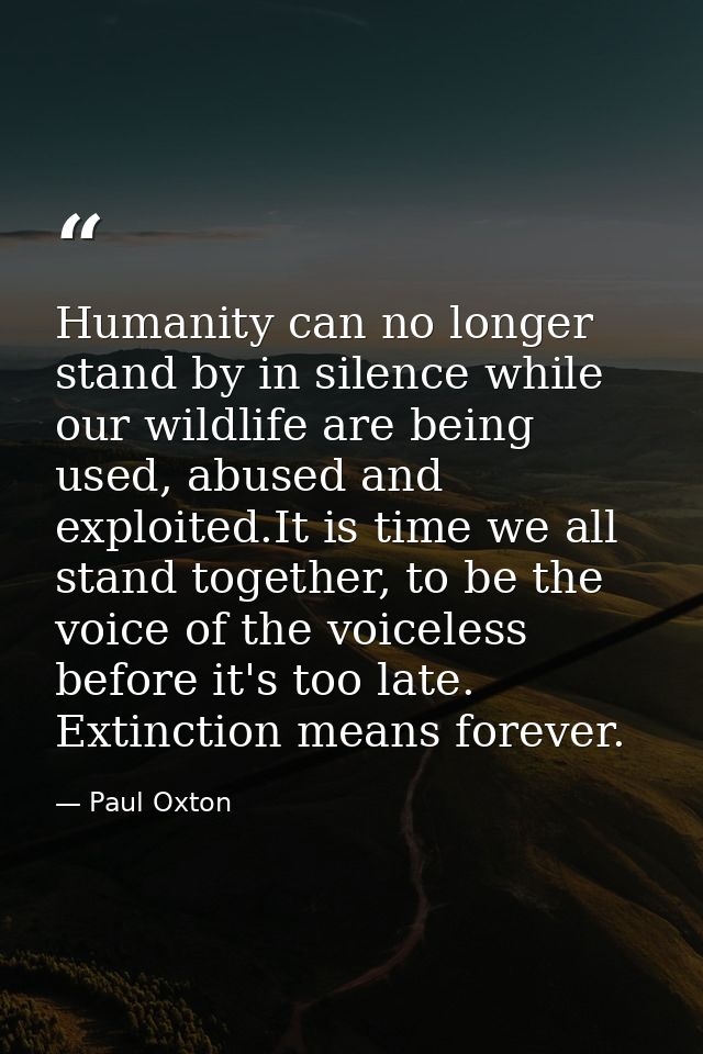 Humanity can no longer stand by in silence while our wildlife are being used, abused and exploited.It is time we all sta — Paul Oxton