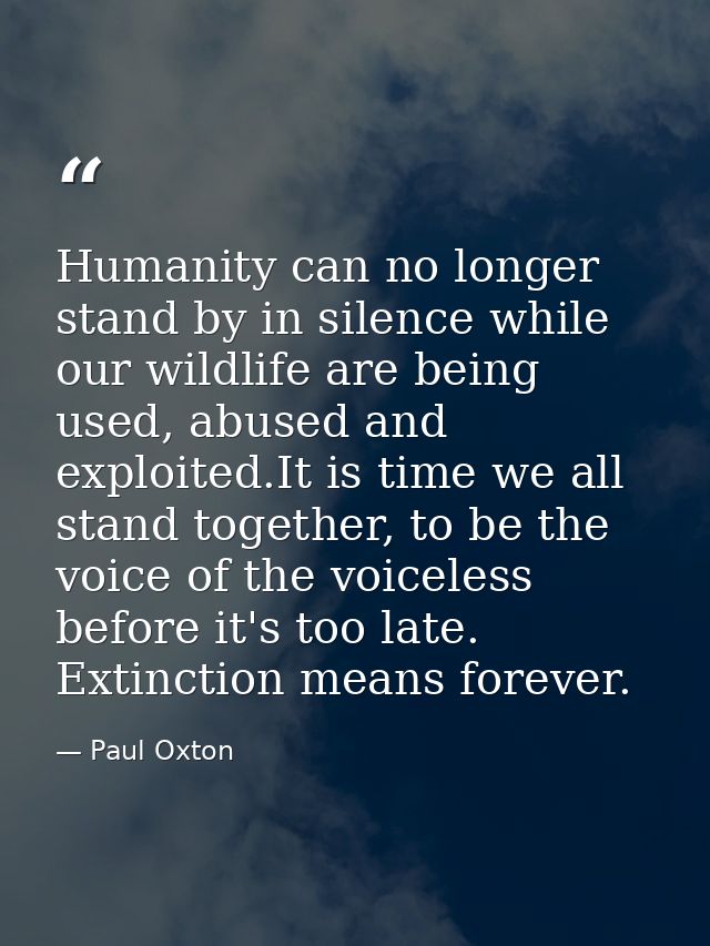 Humanity can no longer stand by in silence while our wildlife are being used, abused and exploited.It is time we all sta — Paul Oxton