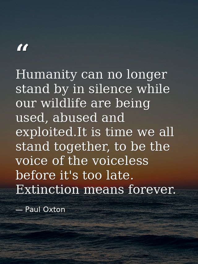Humanity can no longer stand by in silence while our wildlife are being used, abused and exploited.It is time we all sta — Paul Oxton