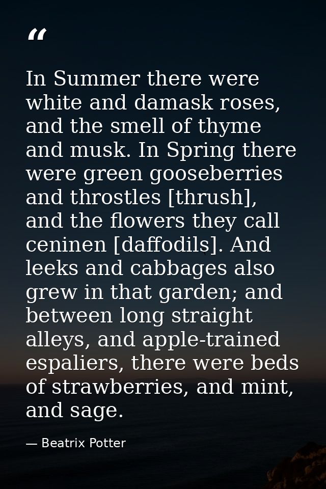In Summer there were white and damask roses, and the smell of thyme and musk. In Spring there were green gooseberries an — Beatrix Potter