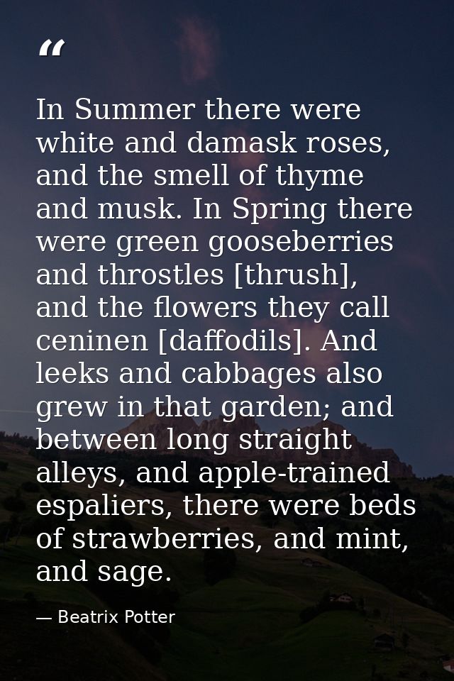In Summer there were white and damask roses, and the smell of thyme and musk. In Spring there were green gooseberries an — Beatrix Potter