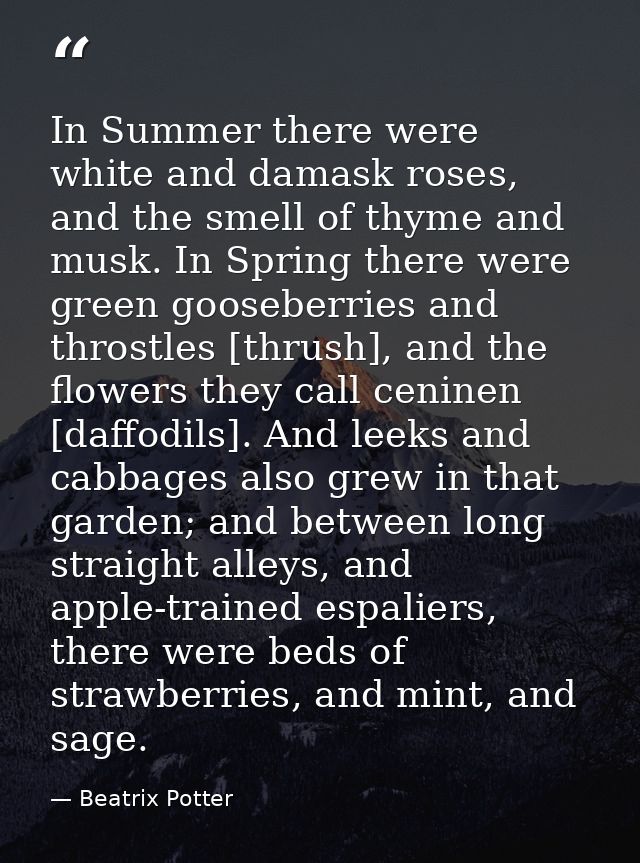In Summer there were white and damask roses, and the smell of thyme and musk. In Spring there were green gooseberries an — Beatrix Potter