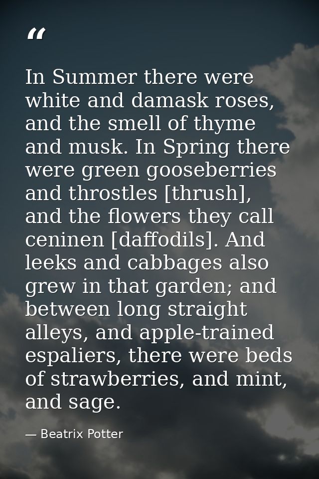 In Summer there were white and damask roses, and the smell of thyme and musk. In Spring there were green gooseberries an — Beatrix Potter
