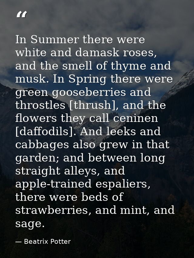 In Summer there were white and damask roses, and the smell of thyme and musk. In Spring there were green gooseberries an — Beatrix Potter